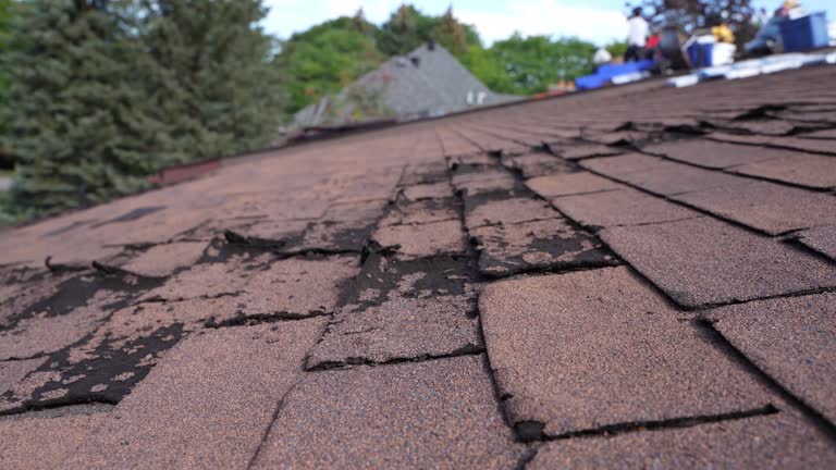 Best Emergency Roof Repair Services  in Crest Hl, IL