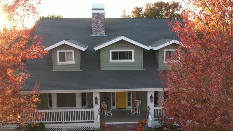 Best Green or Eco-Friendly Roofing Solutions  in Crest Hl, IL