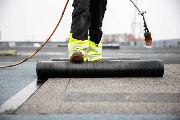Best Skylight Installation and Repair  in Crest Hl, IL