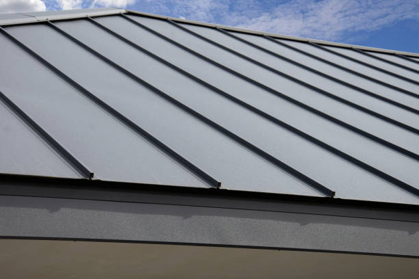 Best Roof Moss and Algae Removal  in Crest Hl, IL